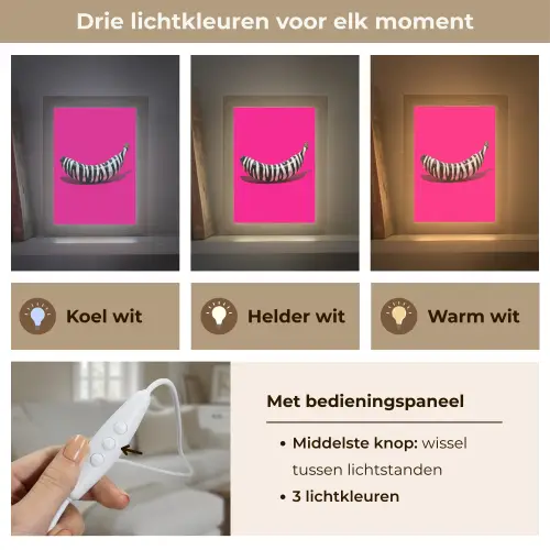 Banaan - Zebraprint - Roze Light Box met kabel (Tafellamp) klein -USP_lichtkleurNL