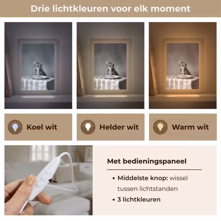 Bengaal - Kat - Tafelkleed - Zwart - Wit - Dier Light Box met kabel (Tafellamp) klein -USP_lichtkleurNL