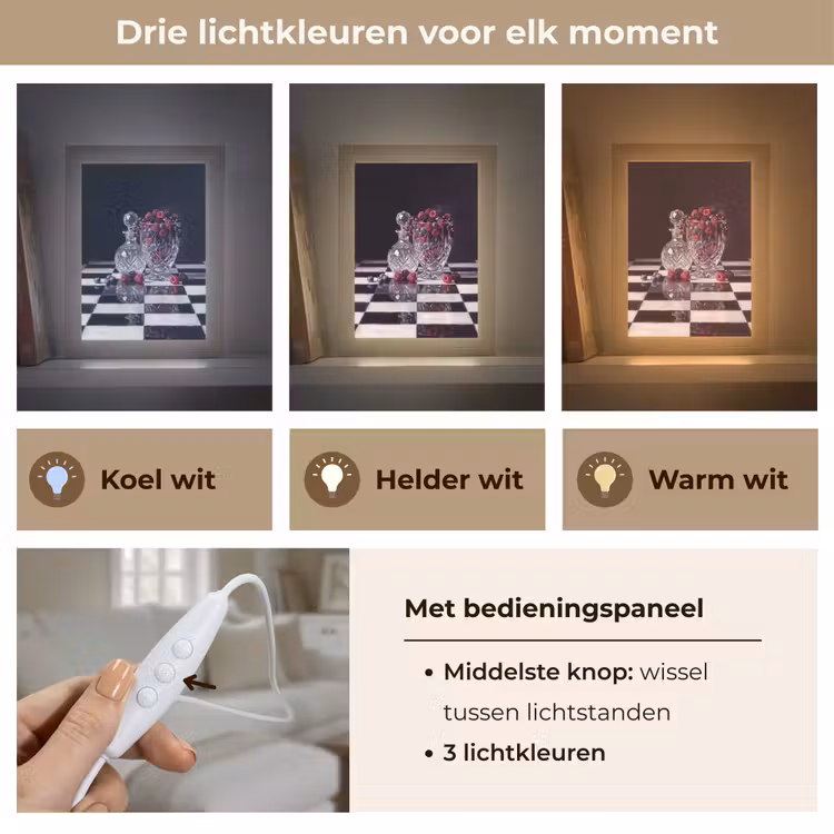 Tafellamp - Bessen - Kristal - Stilleven - Bessen - Kristal - Stilleven Light Box met kabel (Tafellamp) klein