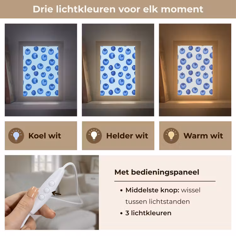 Bessen - Modern - Blauw Light Box met kabel (Tafellamp) klein 925 -USP_lichtkleurNL
