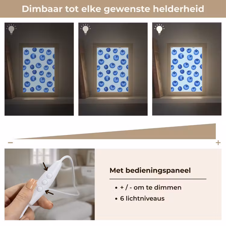 Bessen - Modern - Blauw Light Box met kabel (Tafellamp) klein 925 -USP_dimbaarNL