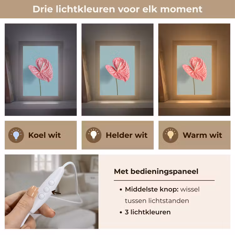 Blad - Anthurium - Stippen - Roze Light Box met kabel (Tafellamp) klein -USP_lichtkleurNL