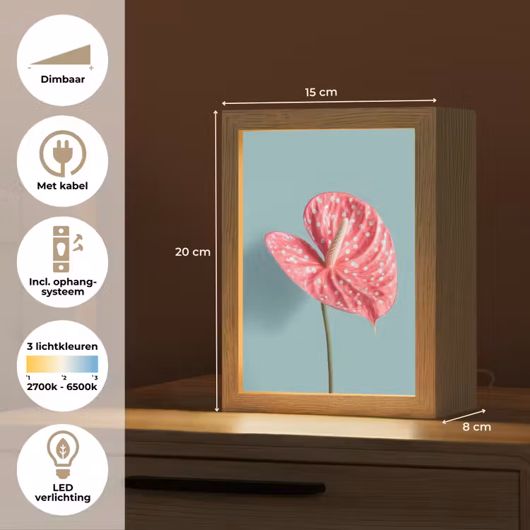 Blad - Anthurium - Stippen - Roze Light Box met kabel (Tafellamp) klein -USP_NL