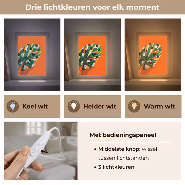 Blad - Oranje - Stippen - Kleurrijk Light Box met kabel (Tafellamp) klein -USP_lichtkleurNL