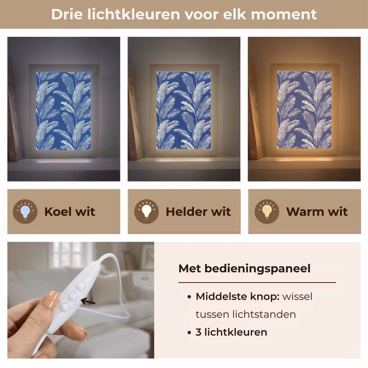 Blad - Palm - Blauw Light Box met kabel (Tafellamp) klein 925 -USP_lichtkleurNL