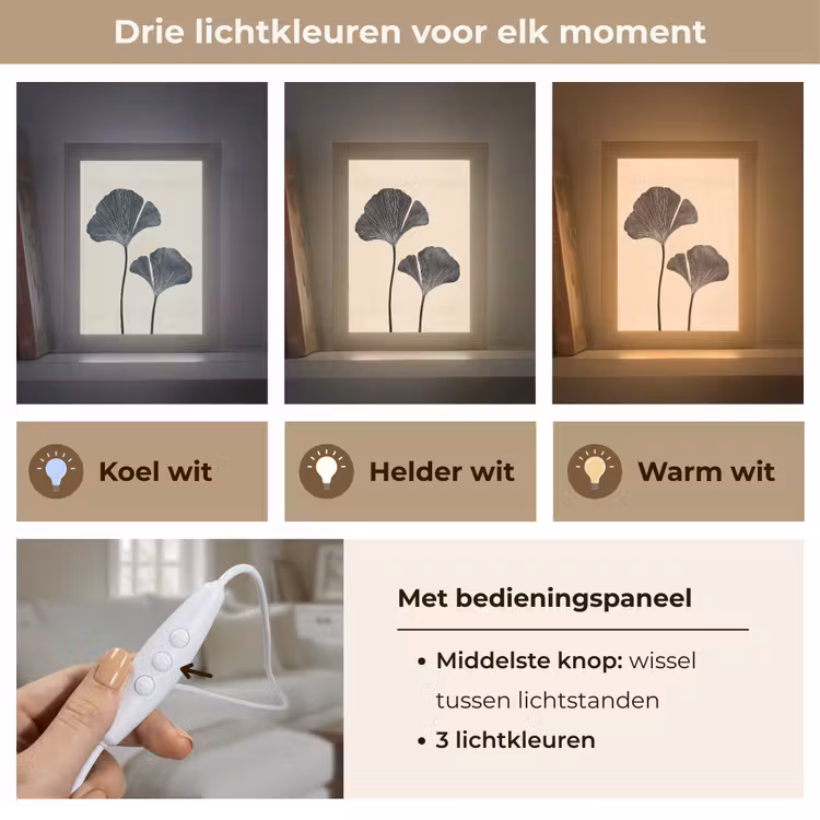 Bladeren - Minimalistisch - Zwart Light Box met kabel (Tafellamp) klein -USP_lichtkleurNL