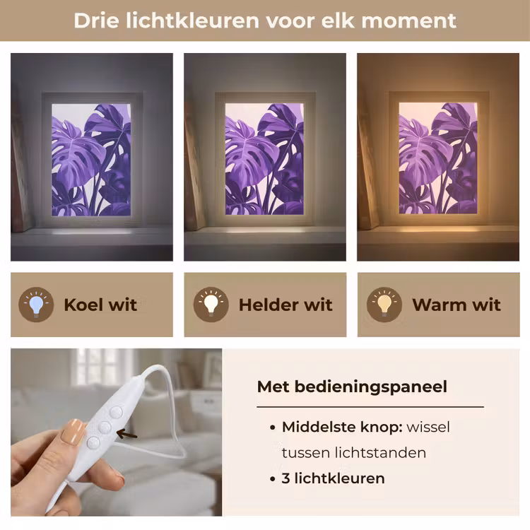 Bladeren - Paars - Tropisch - Abstract Light Box met kabel (Tafellamp) klein -USP_lichtkleurNL