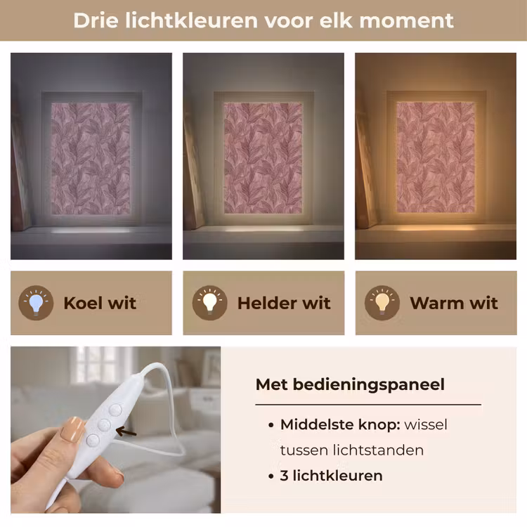 Bladeren - Patroon - Paars Light Box met kabel (Tafellamp) klein 925 -USP_lichtkleurNL