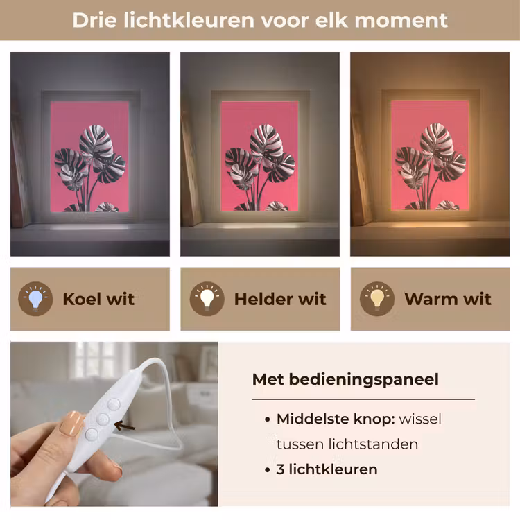 Bladeren - Rond - Roze Light Box met kabel (Tafellamp) klein -USP_lichtkleurNL