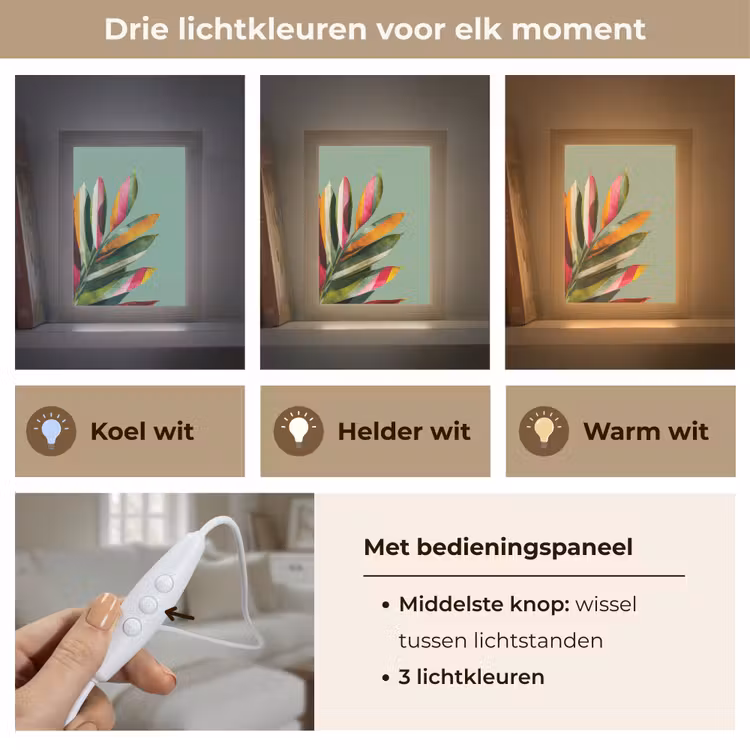 Bladeren - Tak - Kleurrijk Light Box met kabel (Tafellamp) klein -USP_lichtkleurNL
