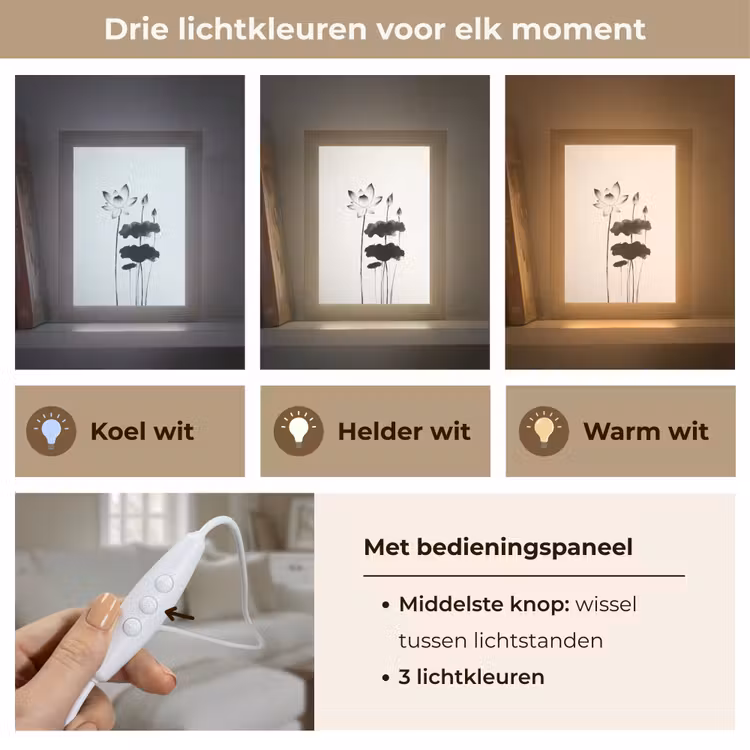 Bladeren - Zwart - Lotusbloem - Minimalitisch Light Box met kabel (Tafellamp) klein -USP_lichtkleurNL