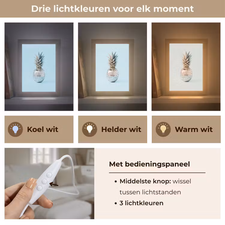 Blauw - Ananas - Disco - Discobal Light Box met kabel (Tafellamp) klein -USP_lichtkleurNL