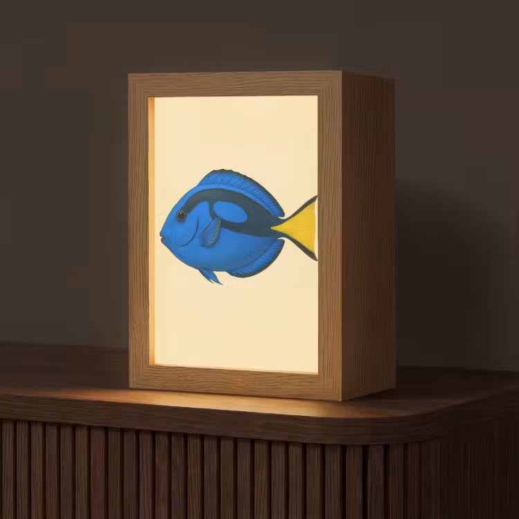 Blauw - Dory - Vis - Staartvin Light Box met kabel (Tafellamp) klein -z3d_website