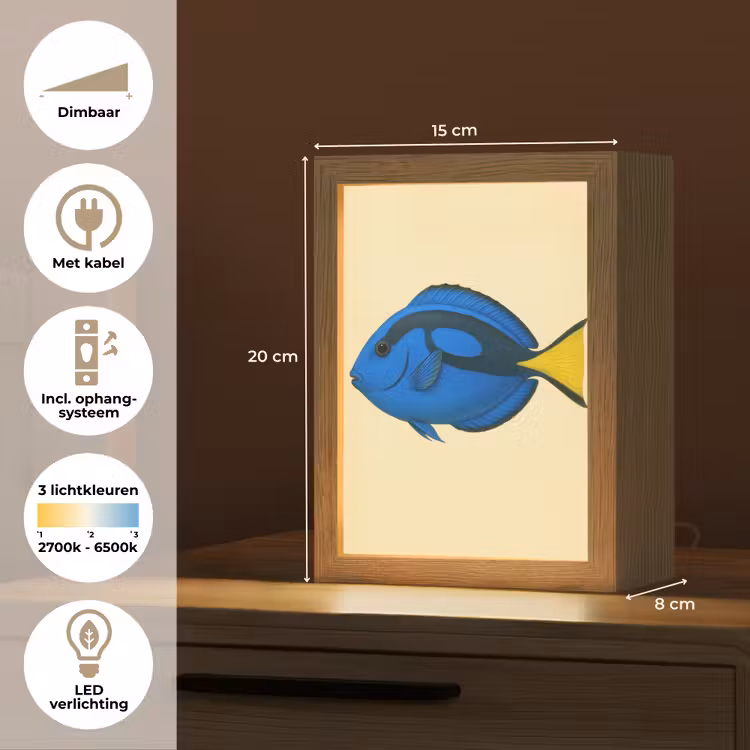 Blauw - Dory - Vis - Staartvin Light Box met kabel (Tafellamp) klein -USP_NL