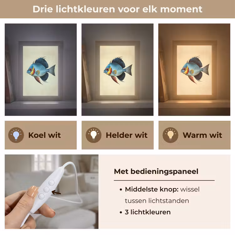 Blauw - Kieuwen - Vis - Illustratie Light Box met kabel (Tafellamp) klein -USP_lichtkleurNL