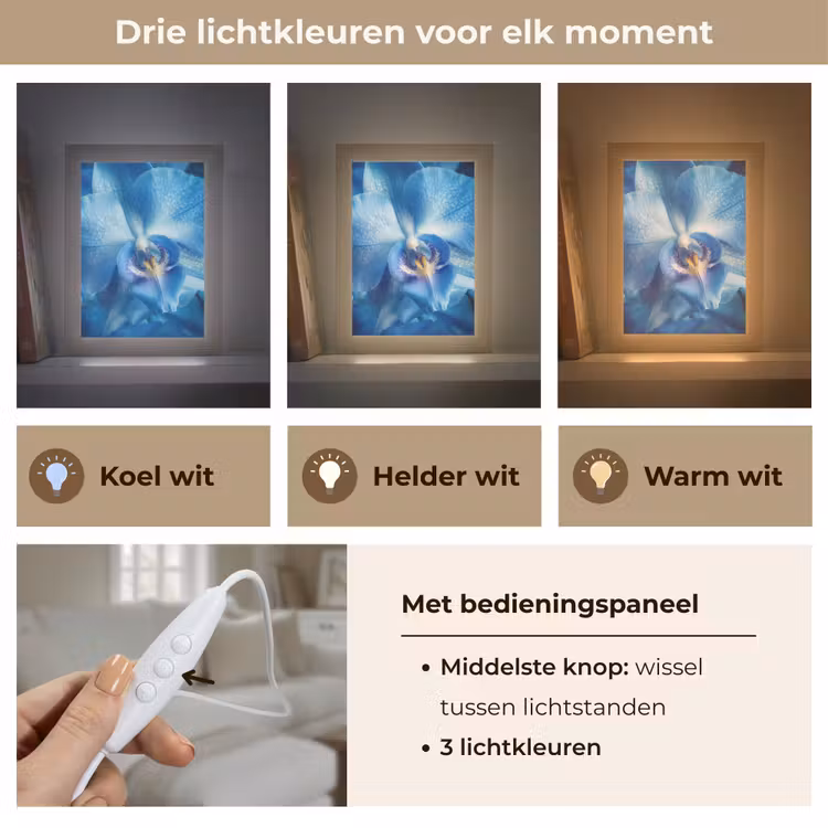 Blauw - Orchidee - Elegeant Light Box met kabel (Tafellamp) klein -USP_lichtkleurNL