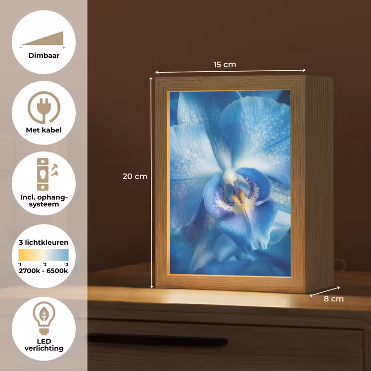 Blauw - Orchidee - Elegeant Light Box met kabel (Tafellamp) klein -USP_NL