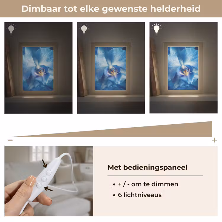 Blauw - Orchidee - Elegeant Light Box met kabel (Tafellamp) klein -USP_dimbaarNL