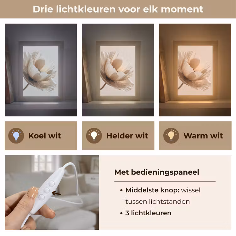Bloem - Beige - Crème Light Box met kabel (Tafellamp) klein -USP_lichtkleurNL