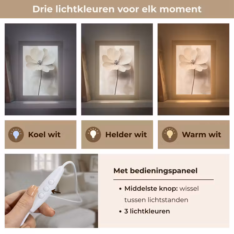 Bloem - Beige - Verf - Schaduw Light Box met kabel (Tafellamp) klein -USP_lichtkleurNL
