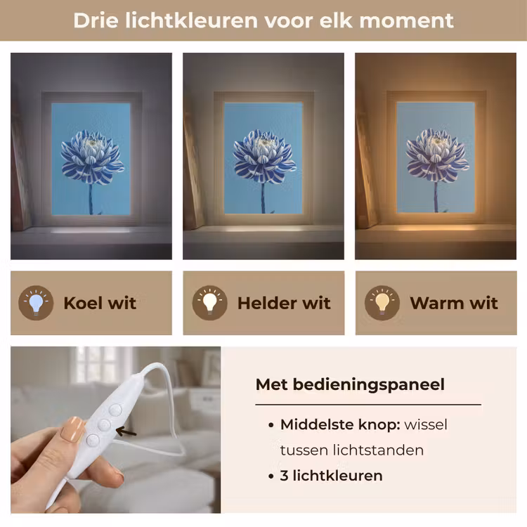 Bloem - Blauw - Bloemblaadjes - Streepjes Light Box met kabel (Tafellamp) klein -USP_lichtkleurNL