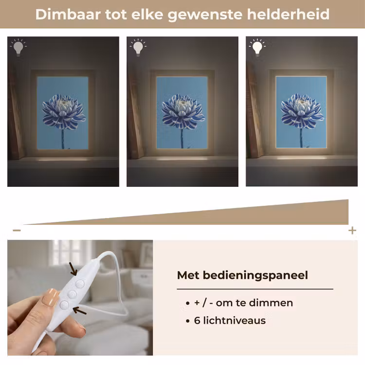 Bloem - Blauw - Bloemblaadjes - Streepjes Light Box met kabel (Tafellamp) klein -USP_dimbaarNL