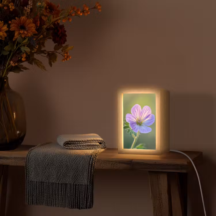 Bloem - Close up - Paars Light Box met kabel (Tafellamp) klein -sfeer4
