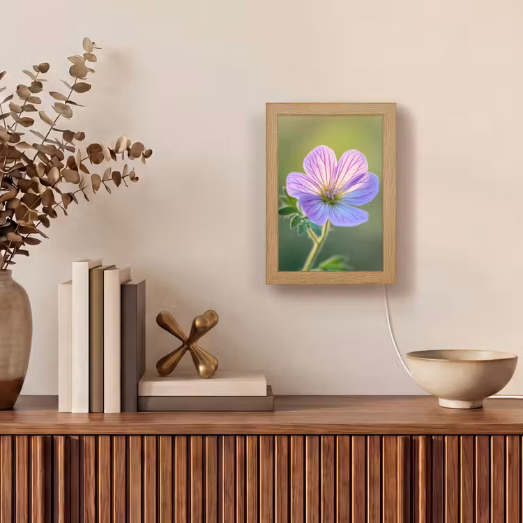 Bloem - Close up - Paars Light Box met kabel (Tafellamp) klein -sfeer2