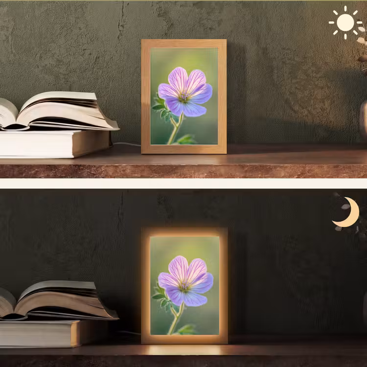 Bloem - Close up - Paars Light Box met kabel (Tafellamp) klein -sfeer3