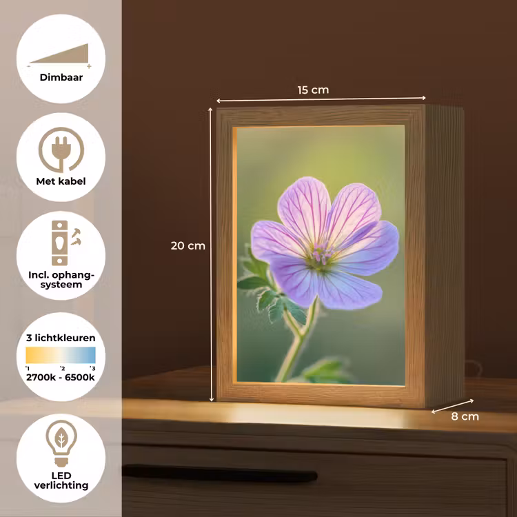 Bloem - Close up - Paars Light Box met kabel (Tafellamp) klein -USP_NL