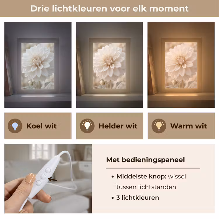 Bloem - Dahlia - Wit Light Box met kabel (Tafellamp) klein -USP_lichtkleurNL