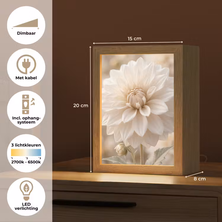 Bloem - Dahlia - Wit Light Box met kabel (Tafellamp) klein -USP_NL