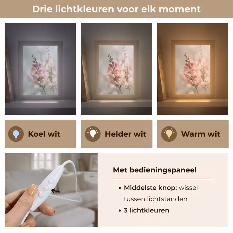 Bloem - Leeuwenbek - Roze - Stengel Light Box met kabel (Tafellamp) klein -USP_lichtkleurNL