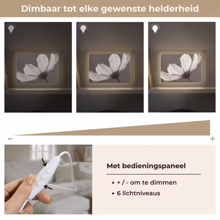 Bloem - Minimalistisch - Zwart - Wit Light Box met kabel (Tafellamp) klein -USP_dimbaarNL