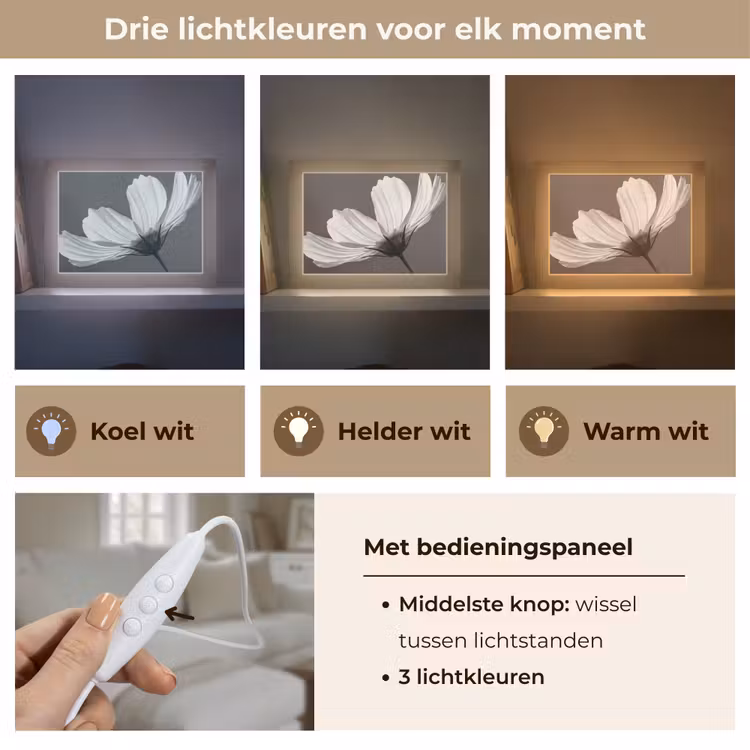 Bloem - Minimalistisch - Zwart - Wit Light Box met kabel (Tafellamp) klein -USP_lichtkleurNL