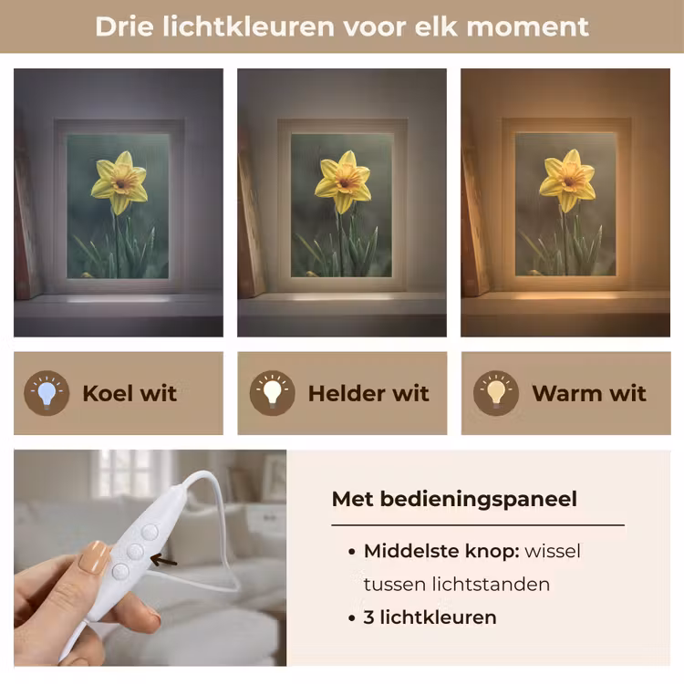 Bloem - Narcis - Gras - Geel Light Box met kabel (Tafellamp) klein -USP_lichtkleurNL