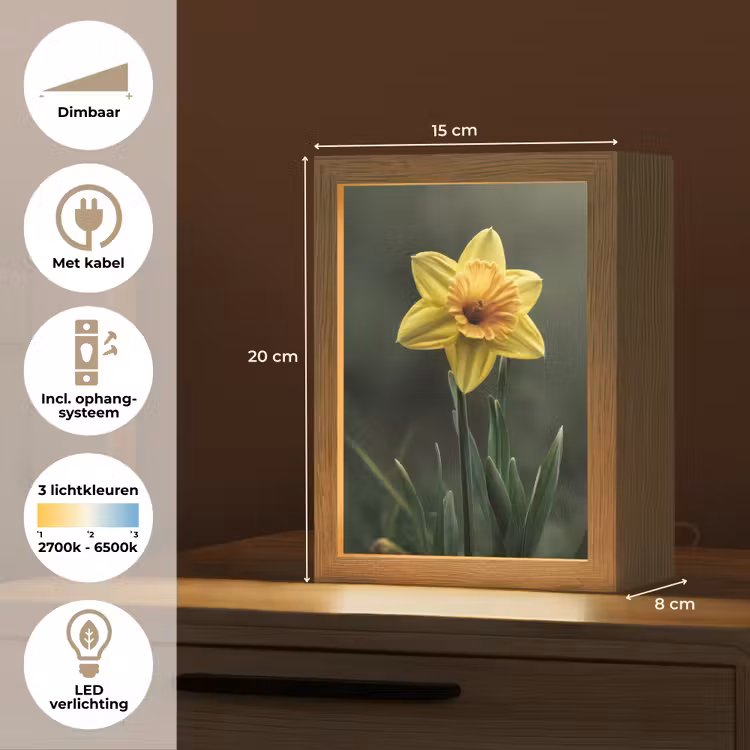 Bloem - Narcis - Gras - Geel Light Box met kabel (Tafellamp) klein -USP_NL
