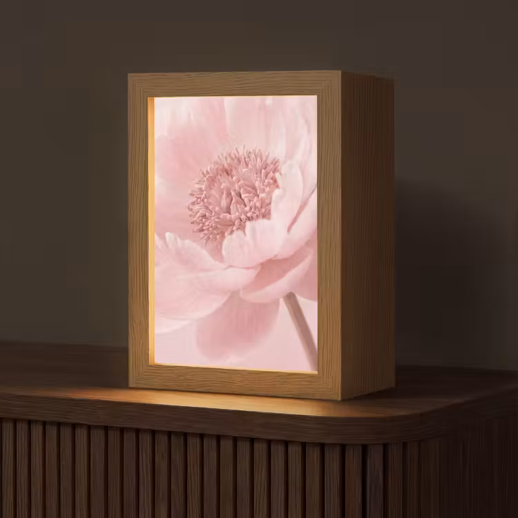 Bloem - Pioenroos - Roze Light Box met kabel (Tafellamp) klein -z3d_website