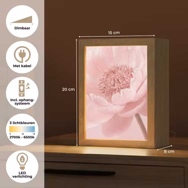 Bloem - Pioenroos - Roze Light Box met kabel (Tafellamp) klein -USP_NL
