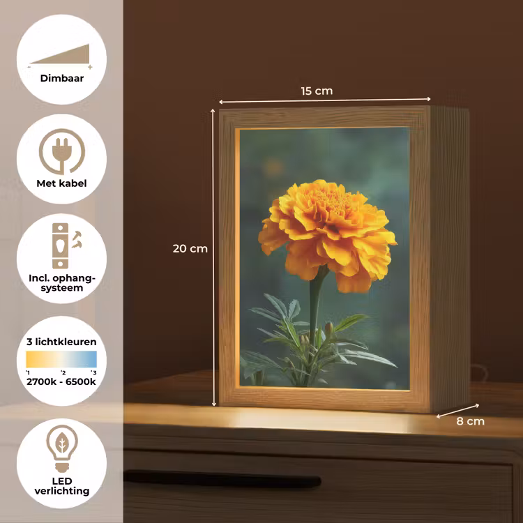 Bloemblaadjes - Afrikaan - Oranje - Wazig Light Box met kabel (Tafellamp) klein -USP_NL
