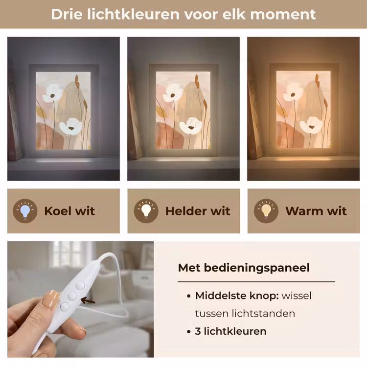 Bloemen - Abstract - Beige - Line art Light Box met kabel (Tafellamp) klein -USP_lichtkleurNL