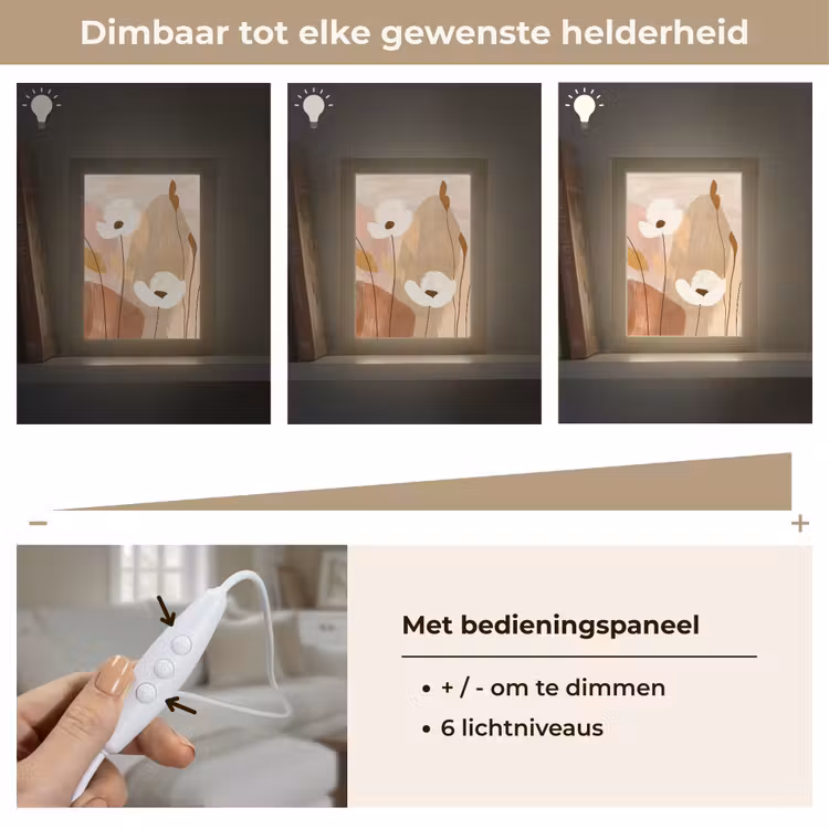 Bloemen - Abstract - Beige - Line art Light Box met kabel (Tafellamp) klein -USP_dimbaarNL
