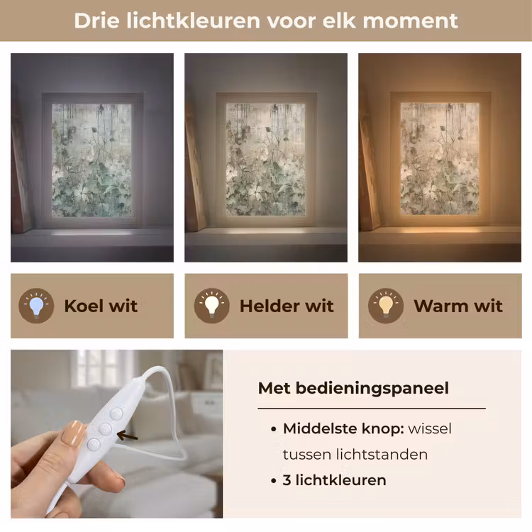 Bloemen - Bladeren - Abstract - Modern Light Box met kabel (Tafellamp) klein -USP_lichtkleurNL