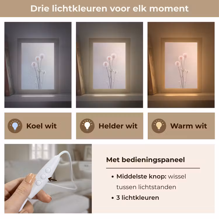Bloemen - Bollen - Roze Light Box met kabel (Tafellamp) klein -USP_lichtkleurNL