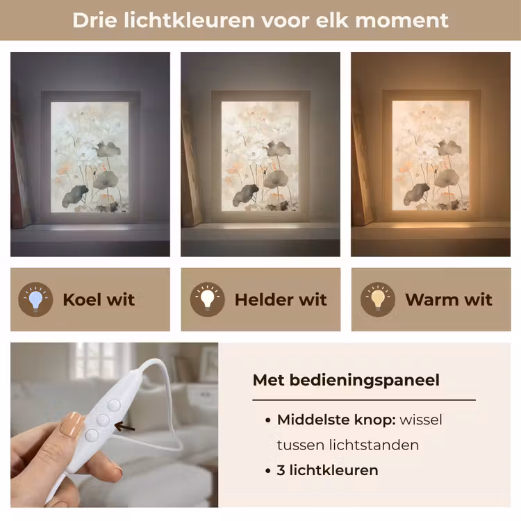 Bloemen - Japandi - Wabi sabi Light Box met kabel (Tafellamp) klein -USP_lichtkleurNL