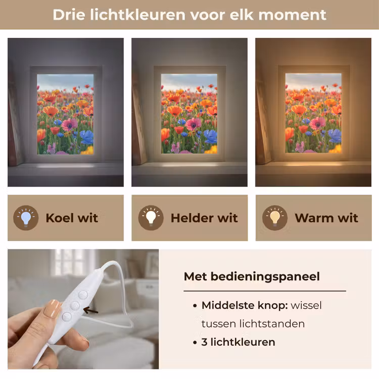 Bloemen - Klaprozen - Kleurrijk - Natuur Light Box met kabel (Tafellamp) klein -USP_lichtkleurNL