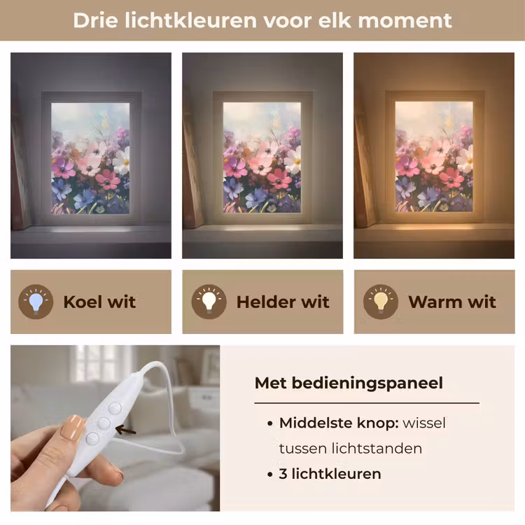 Bloemen - Kleurrijk - Bloei Light Box met kabel (Tafellamp) klein -USP_lichtkleurNL