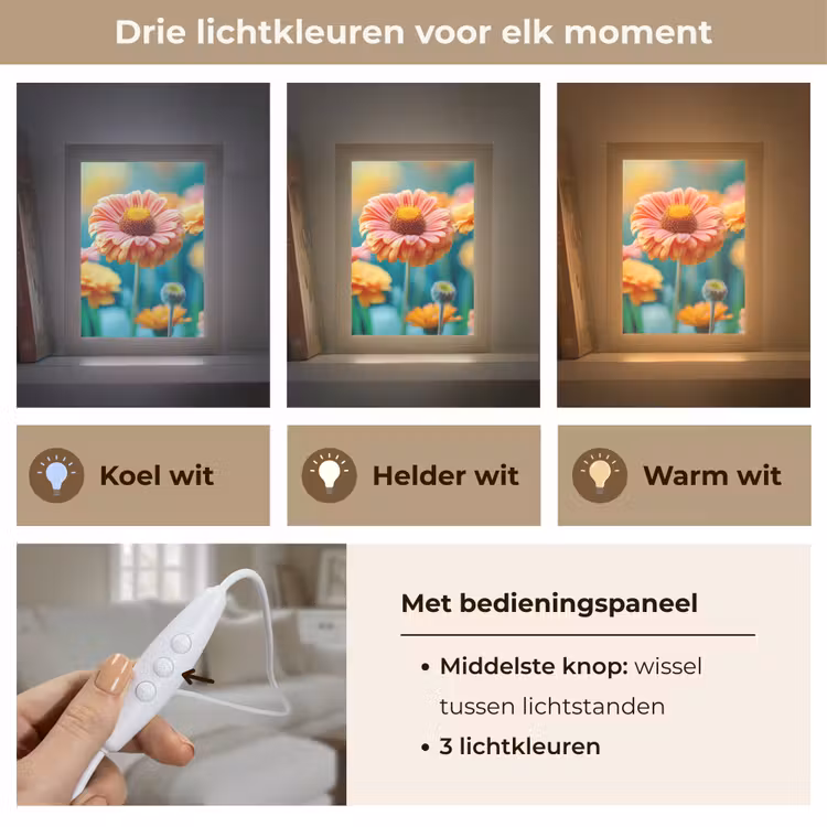 Bloemen - Kleurrijk - Natuur - Gerbera Light Box met kabel (Tafellamp) klein -USP_lichtkleurNL