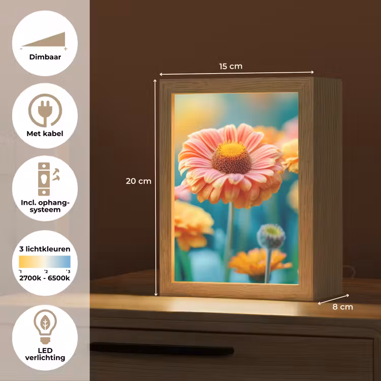 Bloemen - Kleurrijk - Natuur - Gerbera Light Box met kabel (Tafellamp) klein -USP_NL