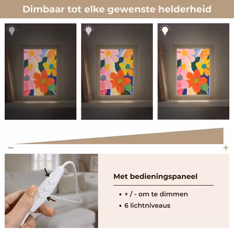 Bloemen - Kleurrijk - Stippen Light Box met kabel (Tafellamp) klein -USP_dimbaarNL